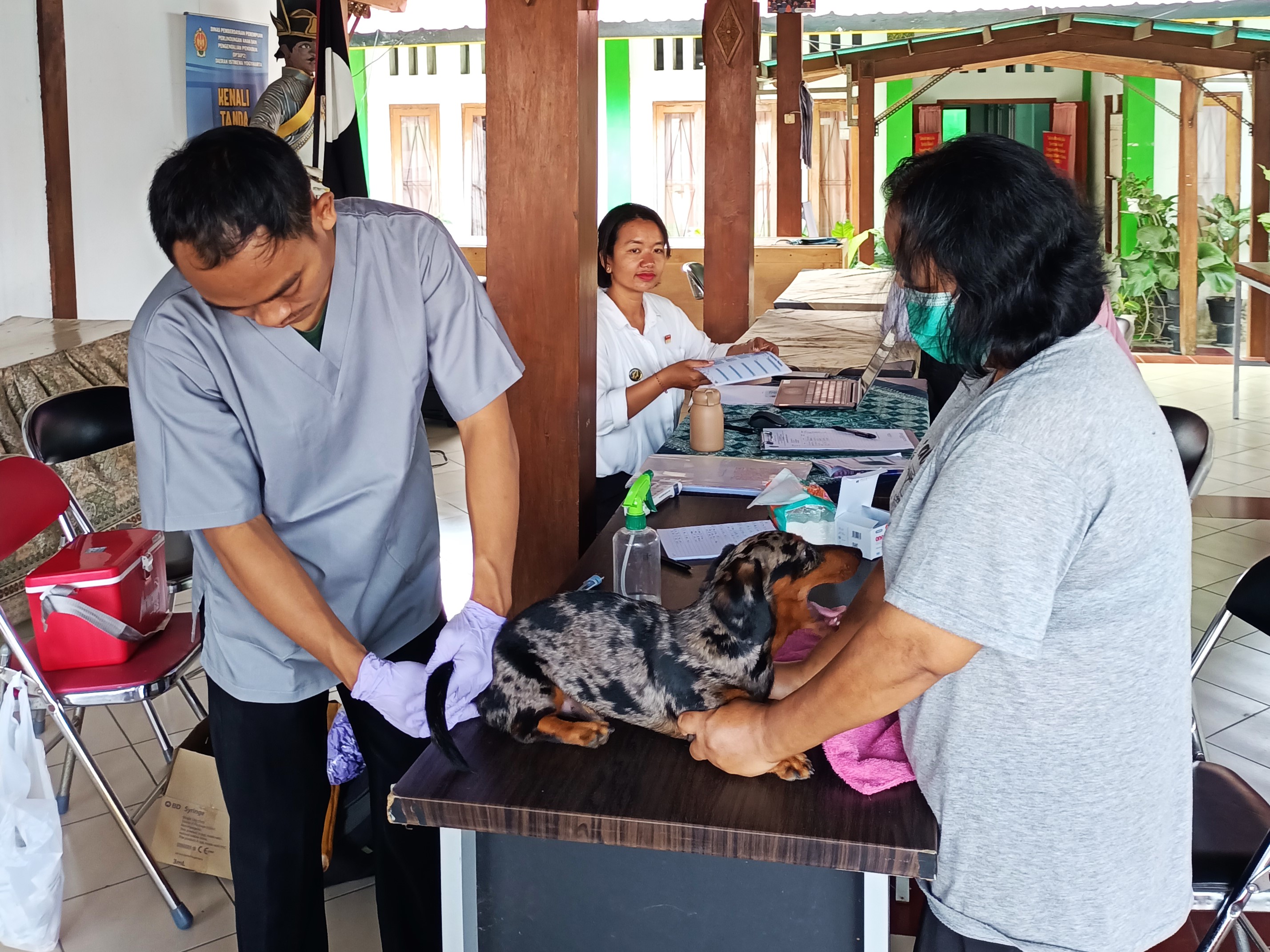 Pemkot Yogyakarta Berikan 3.000 Vaksin Rabies Gratis Sepanjang September, Ini Syarat dan Jadwalnya