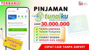 Butuh Uang 30 Juta Cepat? Simak 7 Panduan Pengajuan Pinjol Tunaiku Limit Tinggi, Terdaftar Resmi Di OJK