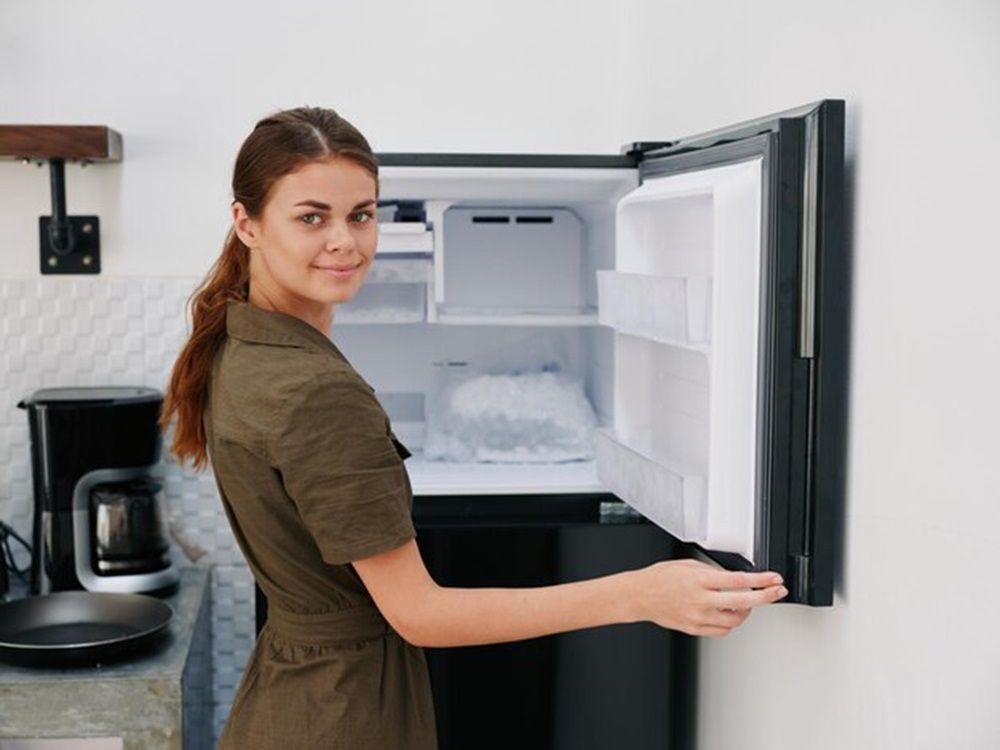 Suhu Sempurna Dalam Freezer Merek Kulkas Terbaik Untuk Menjaga Makanan Tetap Segar