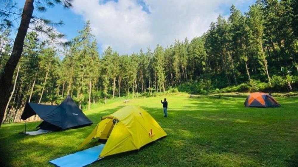 Suka Camping? Ini 3 Rekomendasi Wisata Terbaru 2024 Camping di Tegal! Nikmati Petualangan Terbaik