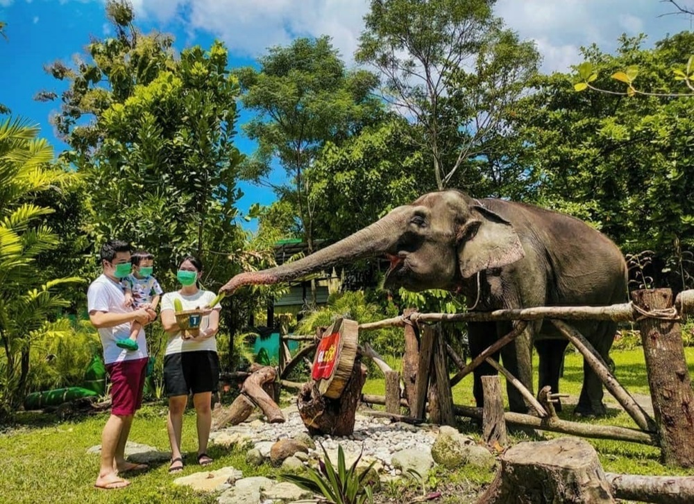 Destinasi Favorit Keluarga, Rekomendasi Wisata Terbaru 2024 Kebun Binatang Yogyakarta Simak Lokasi dan HTM-nya