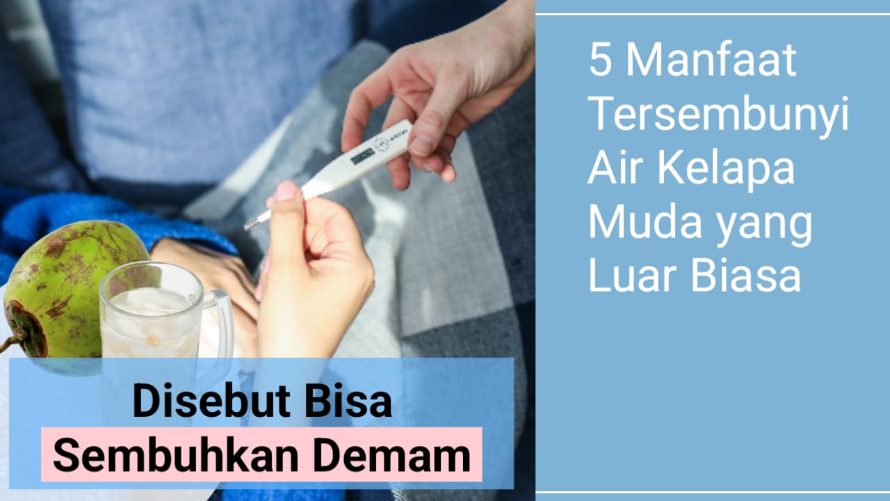 Disebut Bisa Sembuhkan Demam: Inilah 5 Manfaat Tersembunyi Air Kelapa Muda yang Luar Biasa!