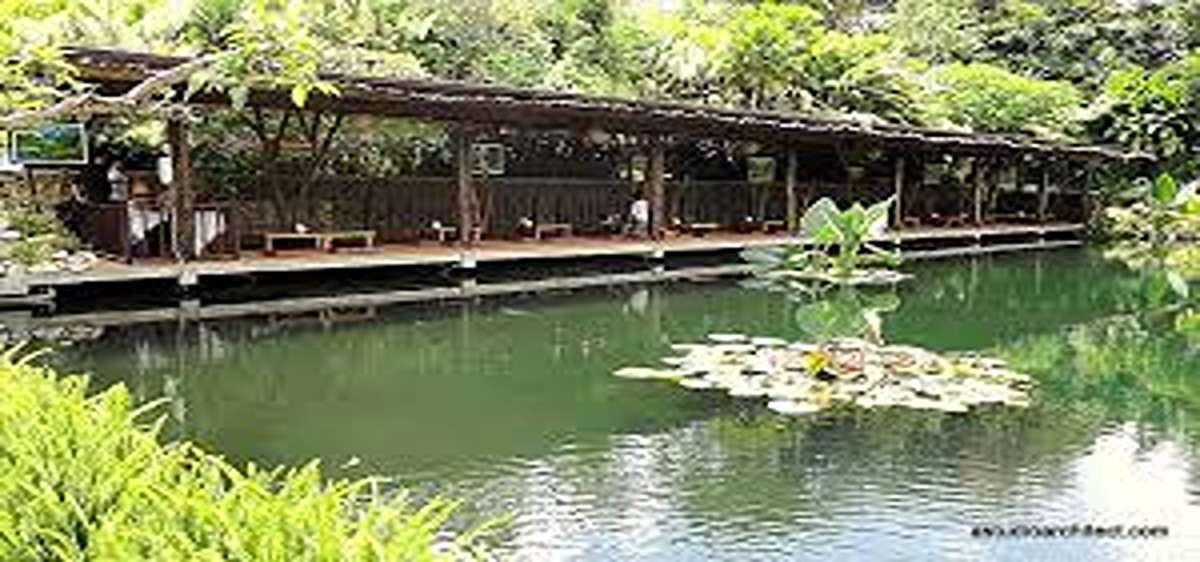 Nyaman dan Enak! Mari Icip Tempat Makan Lesehan Lezat Malang, Dijamin Ketagihan Dengan Berbagai Pilihan Menu