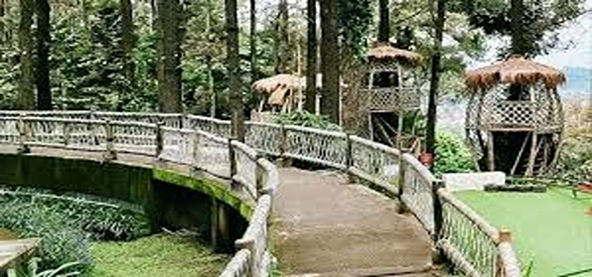 Unik dan Seru! 8 Wisata Hits Pasuruan 2025, Lagi Viral Ada Banyak Spot Foto Menarik