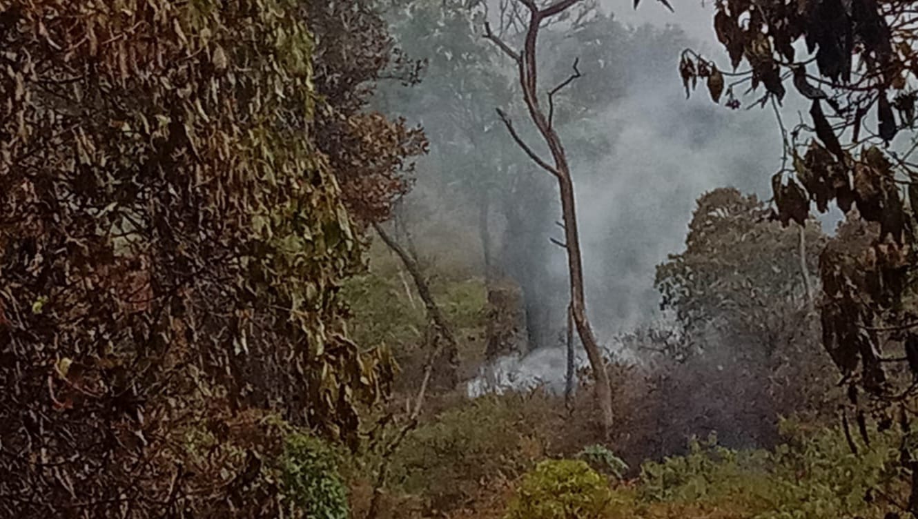 Kebakaran di Hutan Gunung Slamet Akhirnya Padam