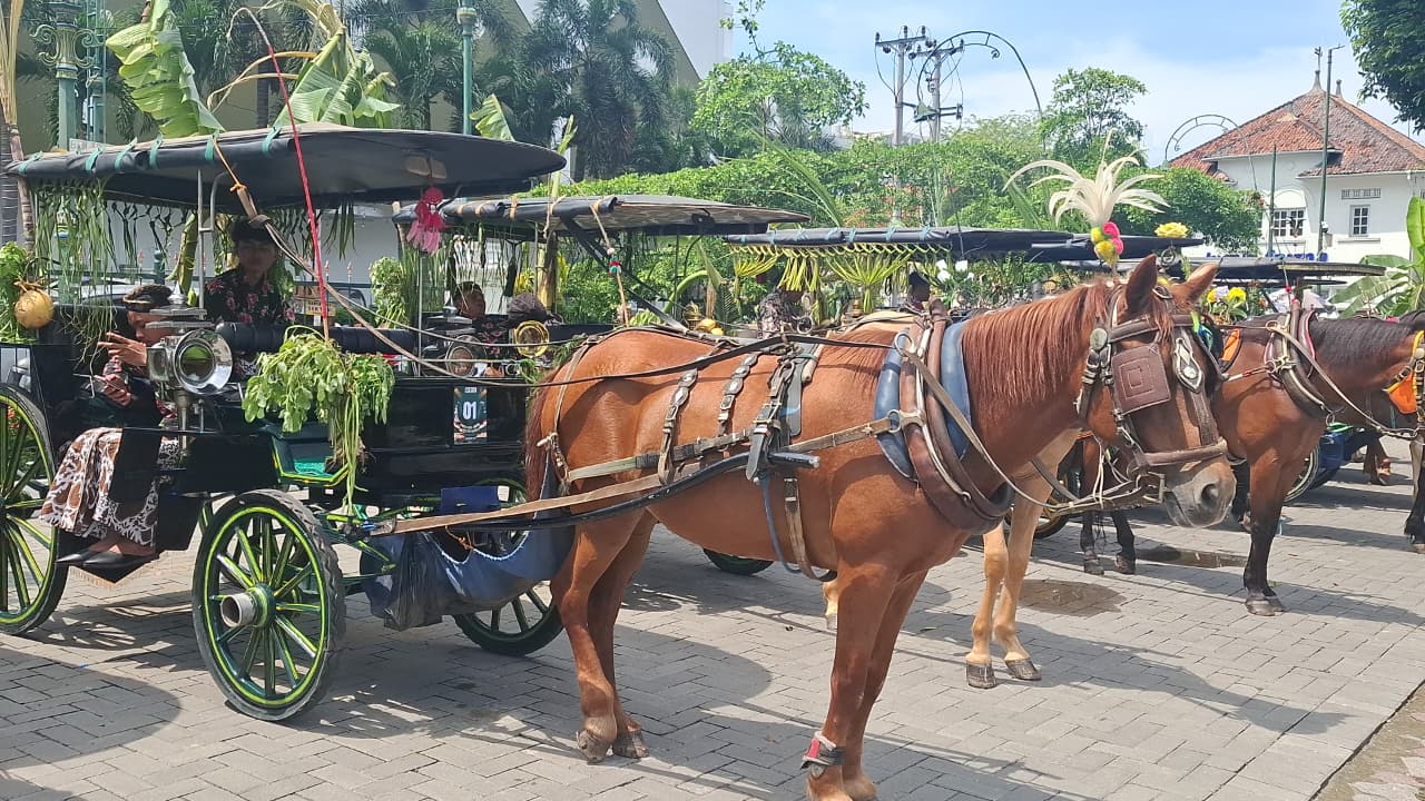 Kontes Kuda Andong 2025 di Malioboro, Angkat Citra Transportasi Budaya Jogja