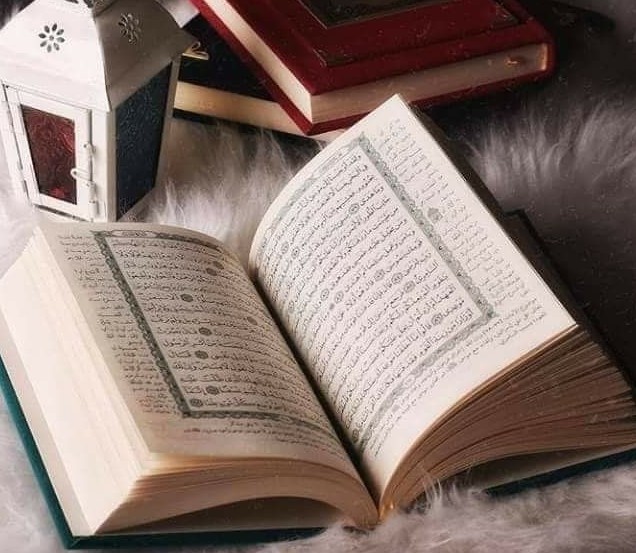 Yuk Rutinkan Membaca Surat Al-Mulk Sebelum Tidur, Ini 6 Keutamaan Q.s Al-Mulk, Sebagai Penyelamat Siksa Kubur