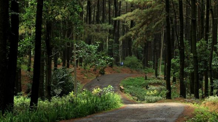 Eksplorasi Sentul Bogor Tanpa Menguras Kantong, Murah dan Indah Simak Info Lengkapnya Disini