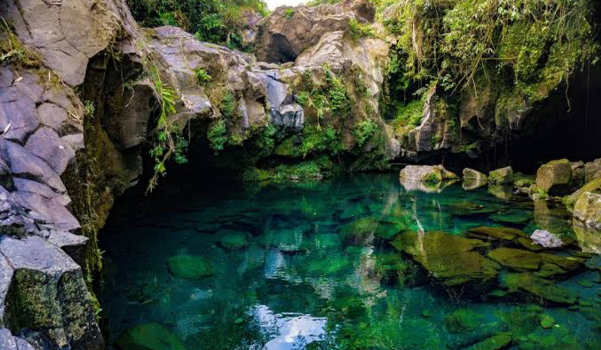 Pikiran Tenang Hati Senang, Berikut Wisata Terbaru 2024 Telaga Sunyi Banyumas