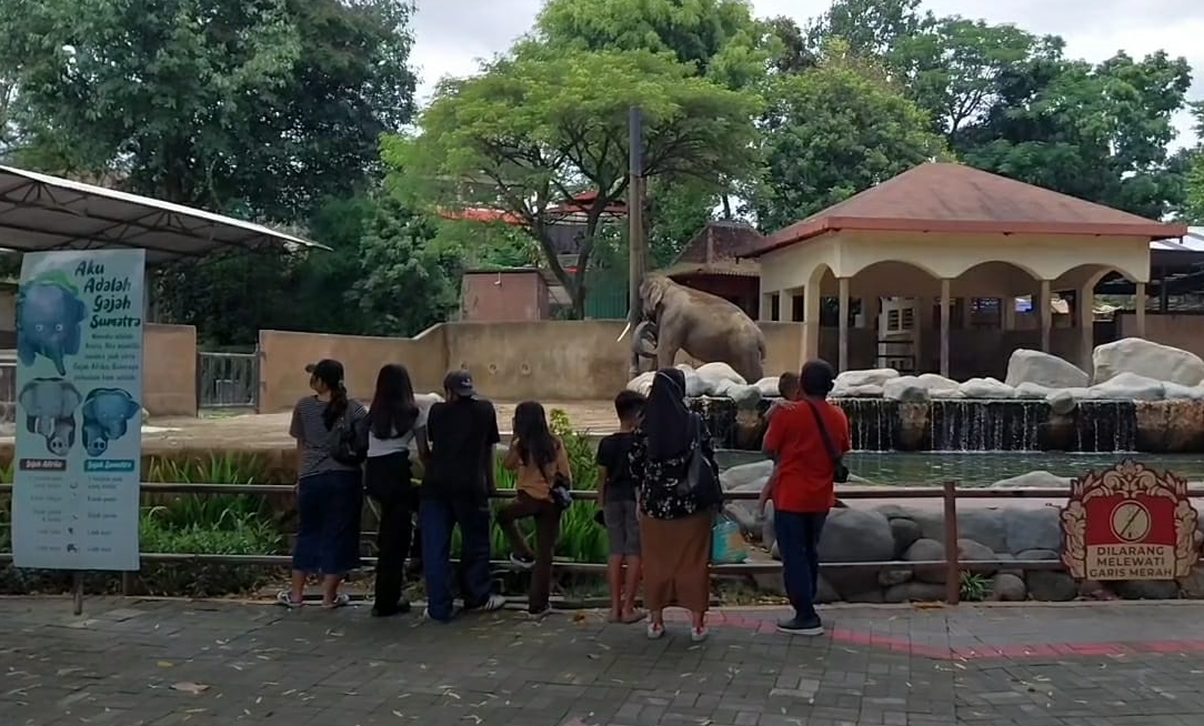 Libur Nataru, Wisatawan di Gembira Loka Zoo Yogyakarta Naik Tiga Kali Lipat