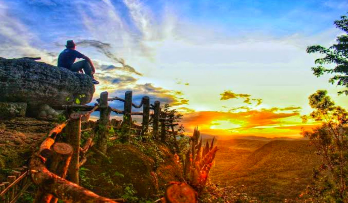 Simak Pesona Wisata Terbaru 2024 Geoforest Watu Payung Gunungkidul Punya Spot Sunrise Terbaik Cek Selengkapnya