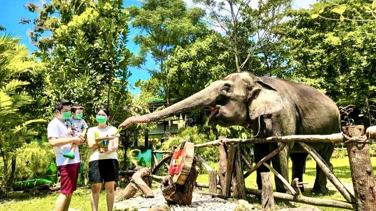 Liburan Lebaran 2026 Paling Edukatif dan Hemat di Yogyakarta