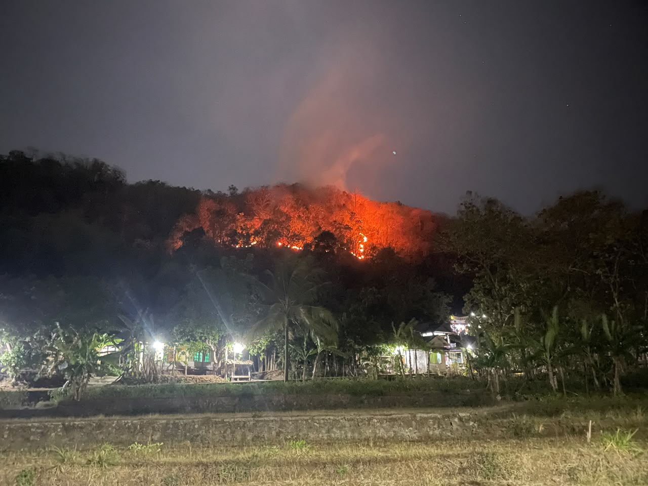 Lahan Sultan Ground dan Milik Warga di Imogiri Terbakar, Polisi Masih Selidiki Penyebab Api