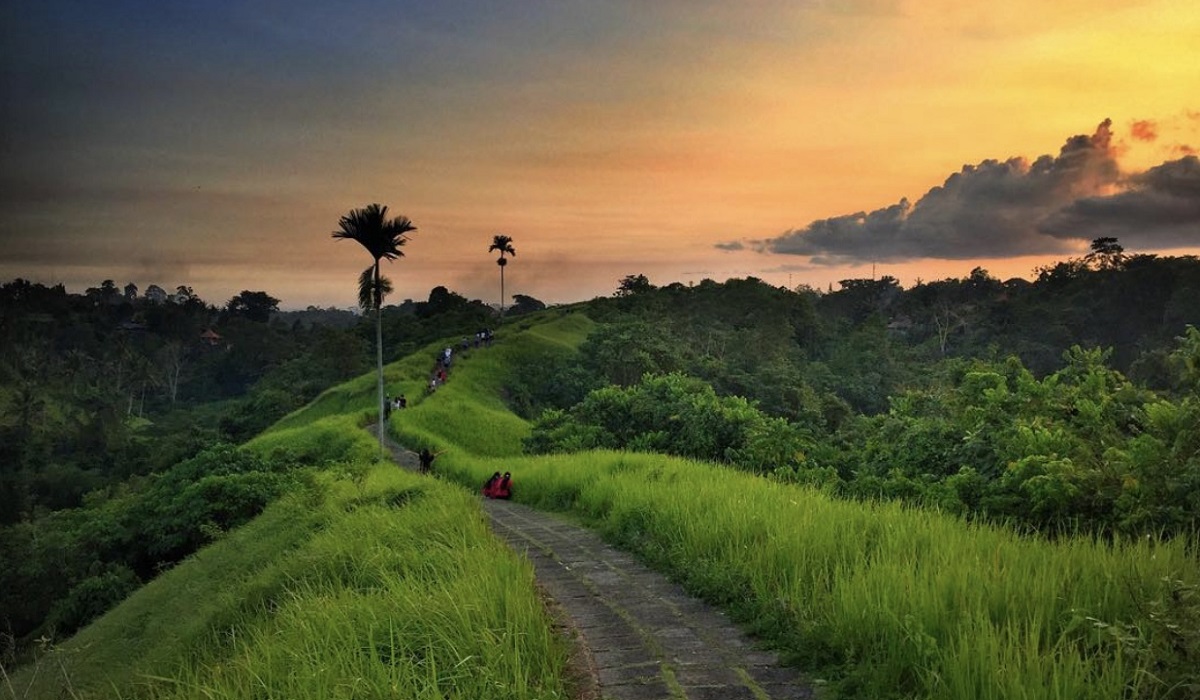 Wisata Bukit Campuhan Ubud Bali: Aktivitas Seru dengan Bentang Alam Memukau, Cek Disini
