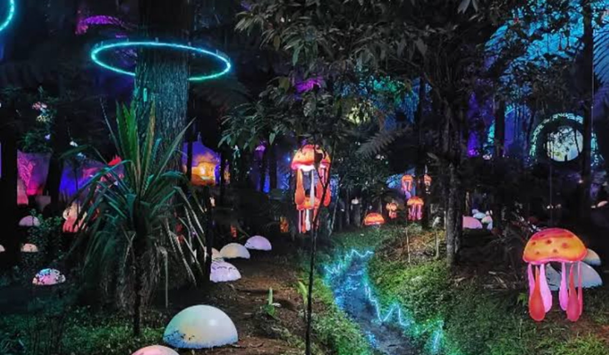 Konsep Glow in The Dark Beri Pengalaman Baru, Wisata Terbaru 2024 Hutan Mycelia