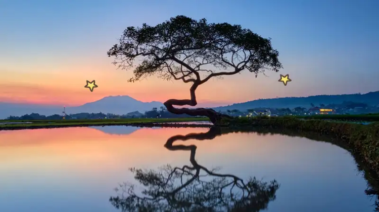 Wisata Paling Menarik untuk Liburan Keluarga Menemukan Pesona Tersembunyi di Salatiga