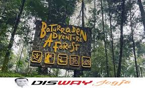 Baturaden Adventure Forest Wisata Terbaru 2024 Purwokerto, Simak HTM dan Fasilitas yang Bisa Kamu Nikmati