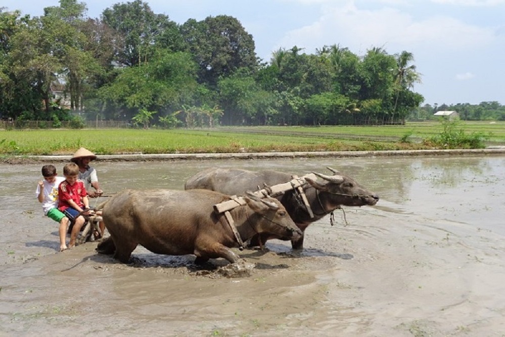 Desa Wisata di Bantul Dinilai Kurang Diminati Saat Libur Nataru, Ini Solusi yang Disarankan Dispar