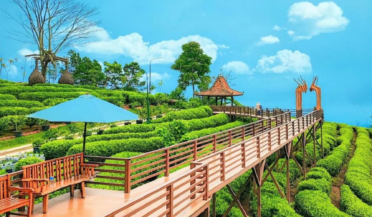 5 Pilihan Wisata Menarik di Subang Tawarkan Sensasi Berlibur Beda, Simak Disini