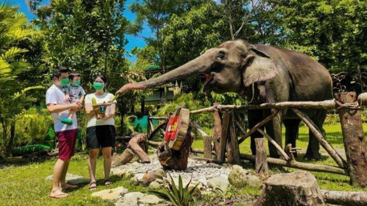 Rekomendasi Wisata Keluarga Terbaik di Jogja untuk Liburan Seru Bareng Keluarga