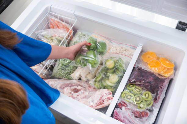 Tips Mudah Menata Makanan Dalam Merek Kulkas Terbaik Jenis Freezer