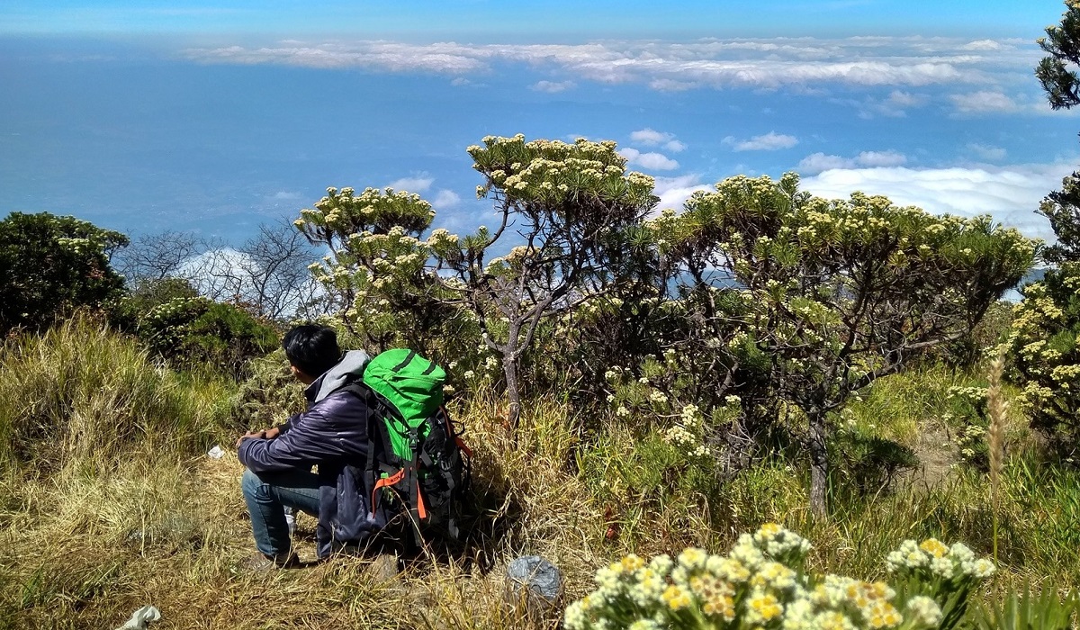 6 Pilihan Wisata Keluarga Seru di Kuningan Sajikan Keindahan Alam Eksotis, Cek Informasi Lengkapnya Disini