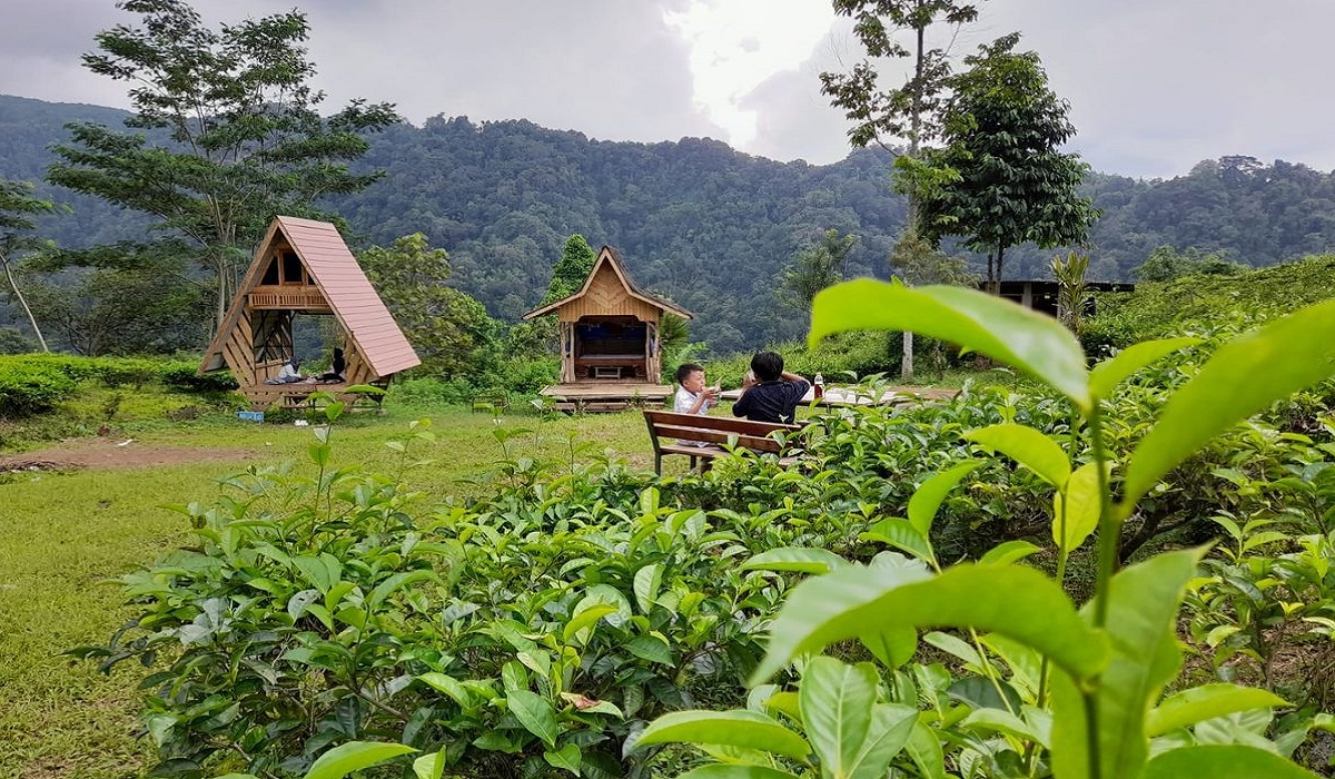 6 Destinasi Wisata Hits di Sumedang Tahun 2025, Tawarkan Suasana Liburan Paling Damai