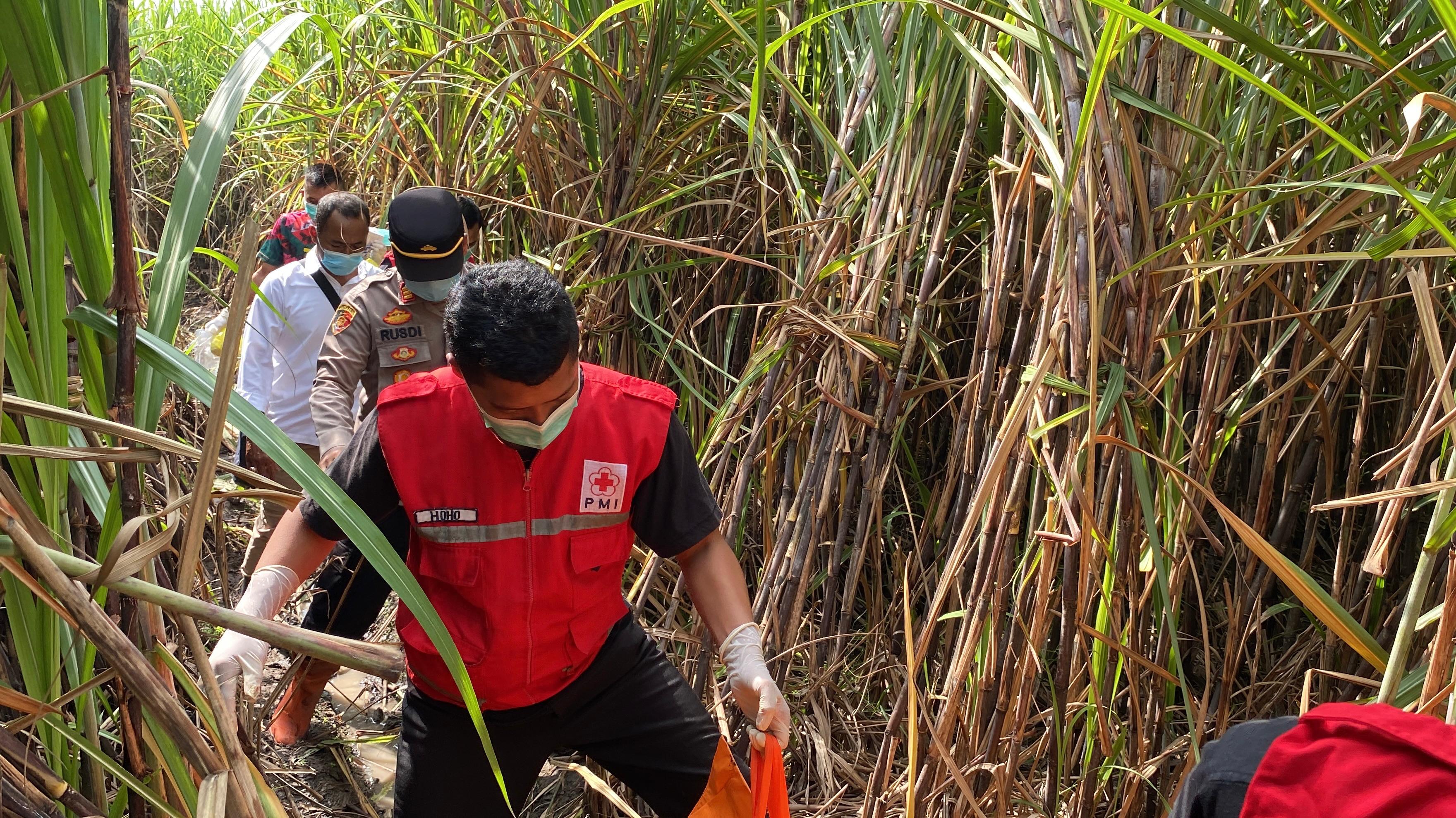  Penemuan Kerangka Manusia di Kebun Tebu Bantul, Diperkirakan Meninggal 3 Bulan