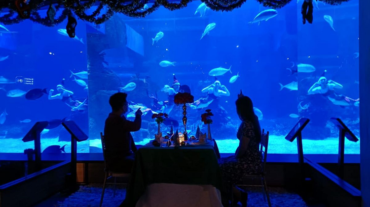 Daftar Eksplorasi Edukasi dan Hiburan Keluarga Indonesia Selama Nataru