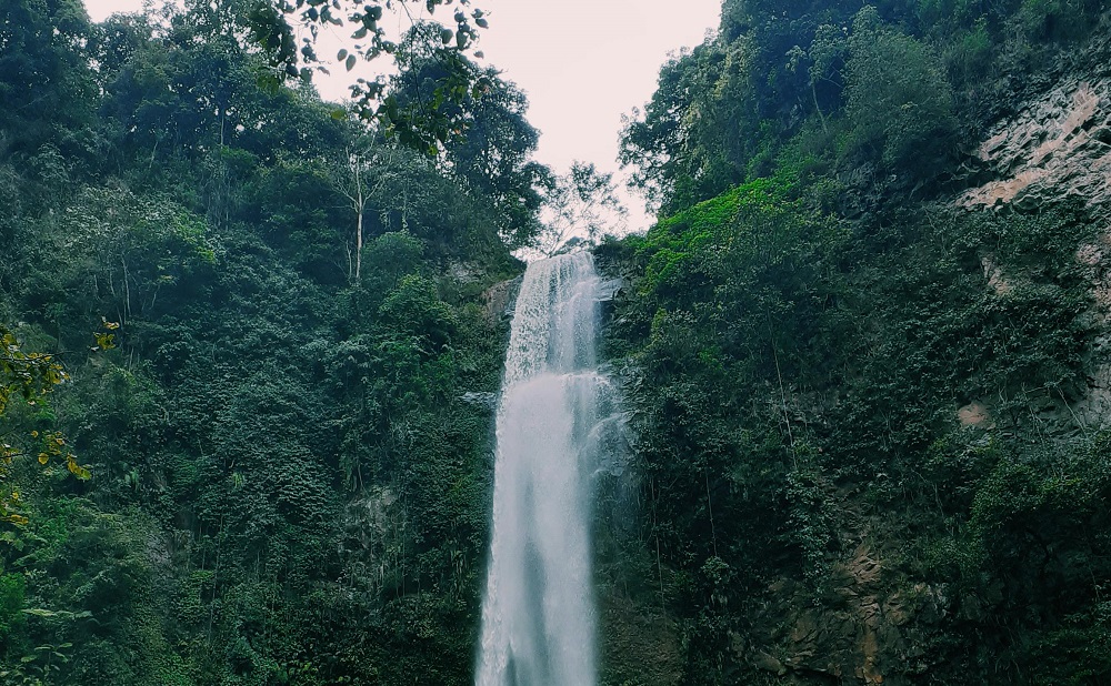 5 Rekomendasi Wisata Terbaru 2024 Tegal? Curug Alami Dengan Pemandangan Eksotis, Banyak Spot Instagramable Nih