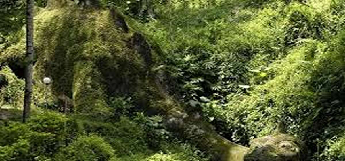 Healing Seru! 8 Wisata Hits Karawang 2025, Cocok Untuk Waktu Santai Healing di Tengah Alam