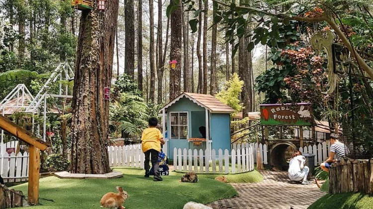 Destinasi Sempurna Healing di Bandung yang Lagi Hits Cocok Untuk Melepas Penat