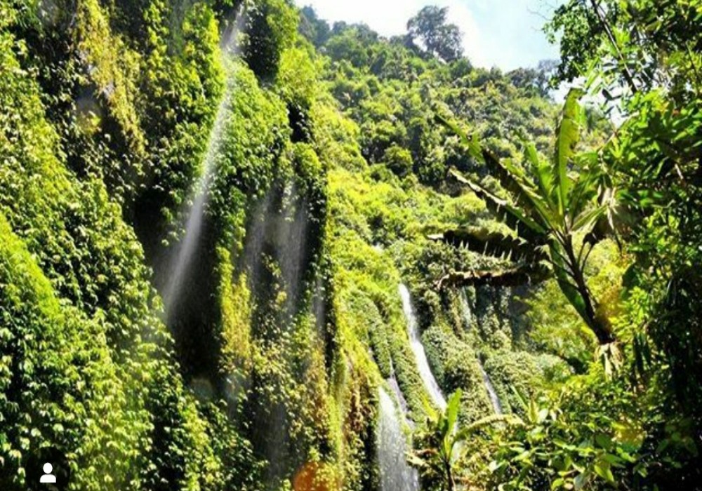 Panorama Wisata Terbaru 2024 Madakaripura Forest Park Probolinggo? Pas Buat Liburan, Simak Lokasi dan HTMnya