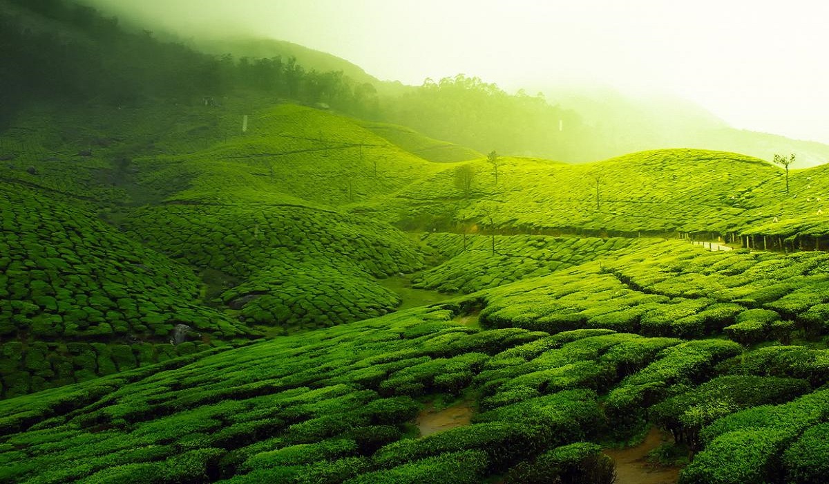 Pesona Alam Luar Biasa, Inilah 5 Rekomendasi Wisata Seru Boja Kendal untuk Isi Waktu Liburanmu