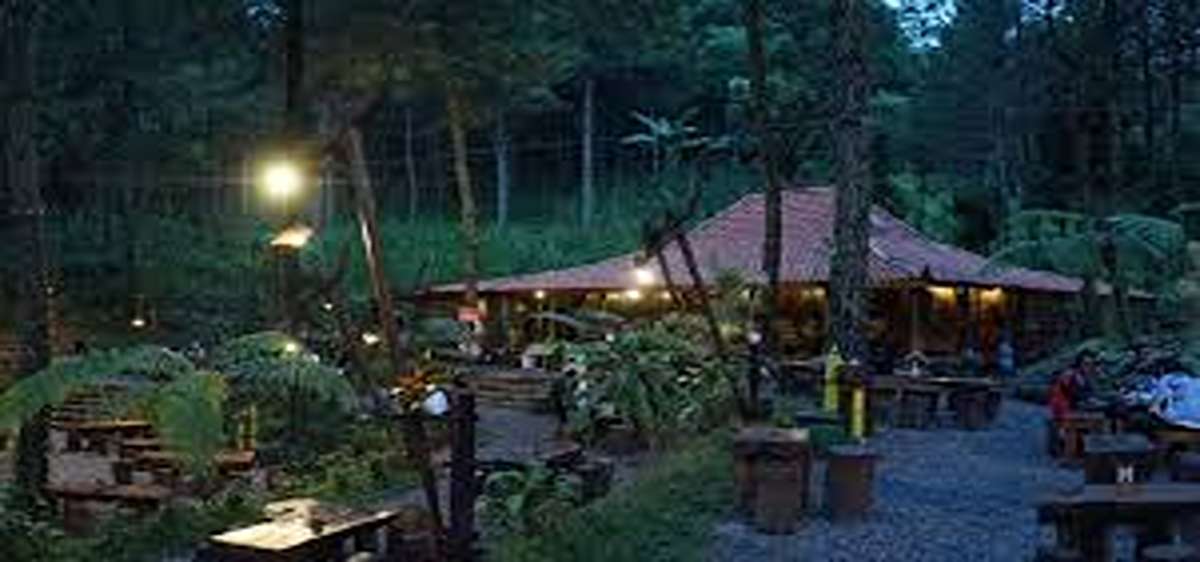 Amazing dan Instagramable! Cafe Estetik Pasuruan 2025, Cocok Buat Nongkrong Anak Muda Kekinian