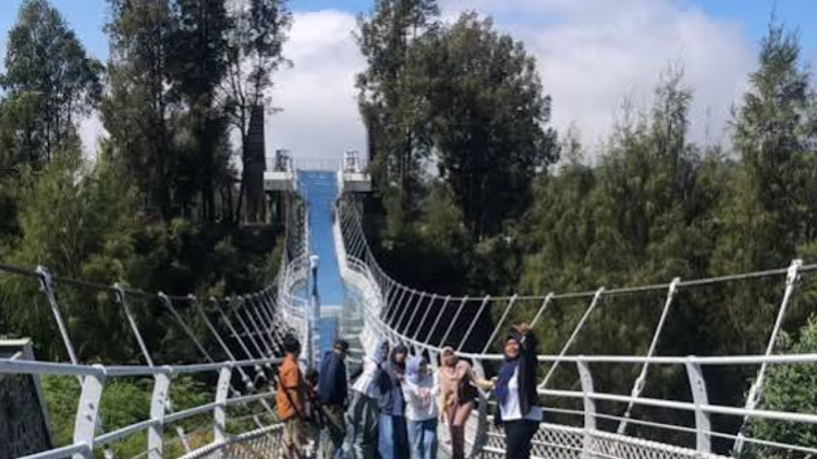 Menantang Adrenalin di Bromo Sky Bridge, Objek Wisata Terbaru dengan Pemandangan Memukau