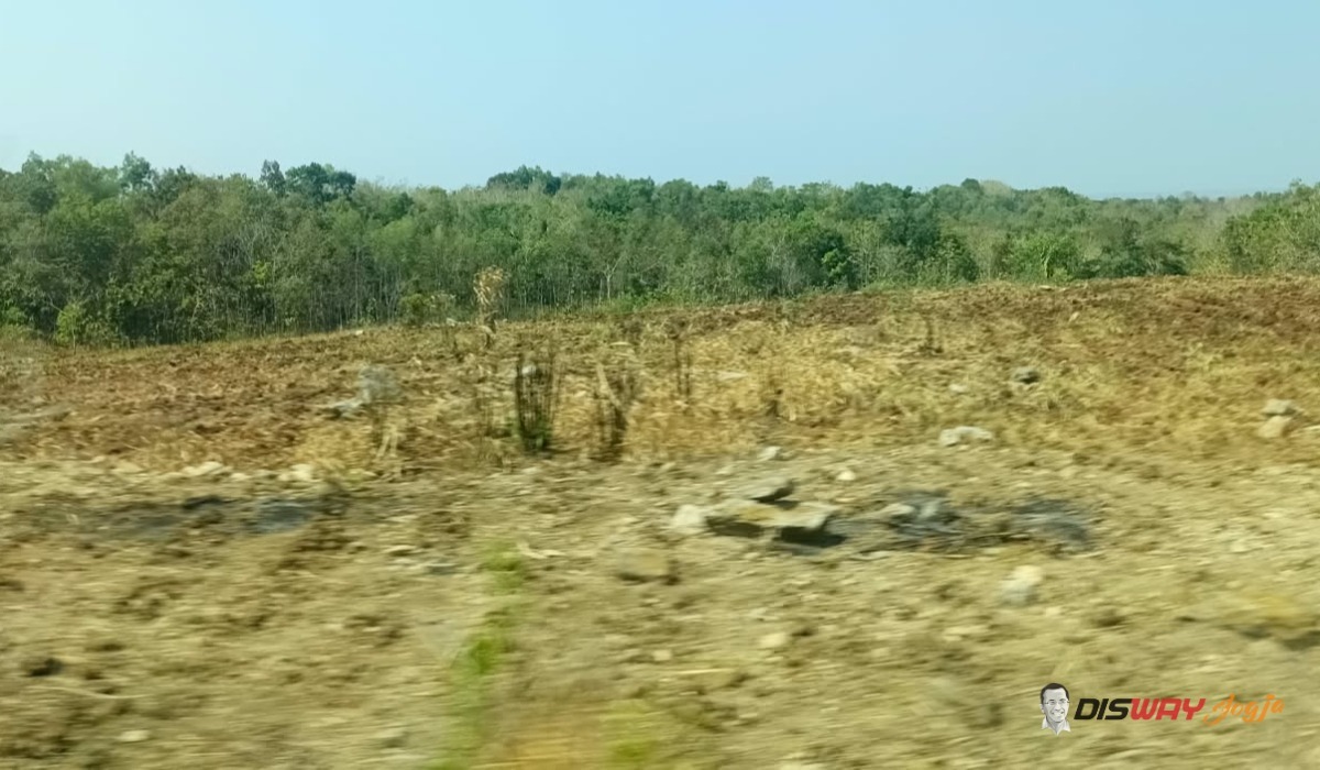 Kelembapan Udara Kering Hambat Pembentukan Awan Hujan, DIY Diprakirakan Cerah Berawan