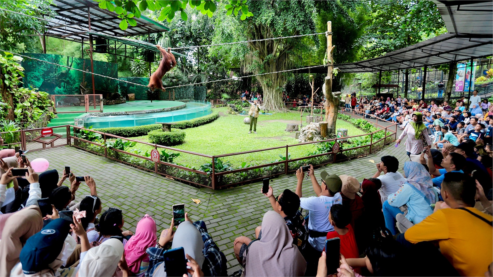 Mengenalkan Berbagai Hewan Gembira Loka Zoo, Rekomendasi Liburan Asik Bersama Keluarga di Akhir Tahun