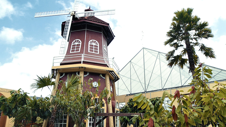 Pesona Agrowisata Blitar Menjelajahi Kampung Coklat yang Edukatif dan Terjangkau