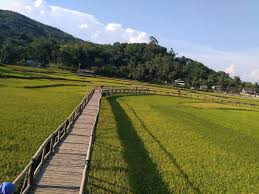 Ayo Berlibur Di Wisata Sawah Sukorame Bantul, Sedang Jadi Trending Dengan Spot Swafoto Instagenic 