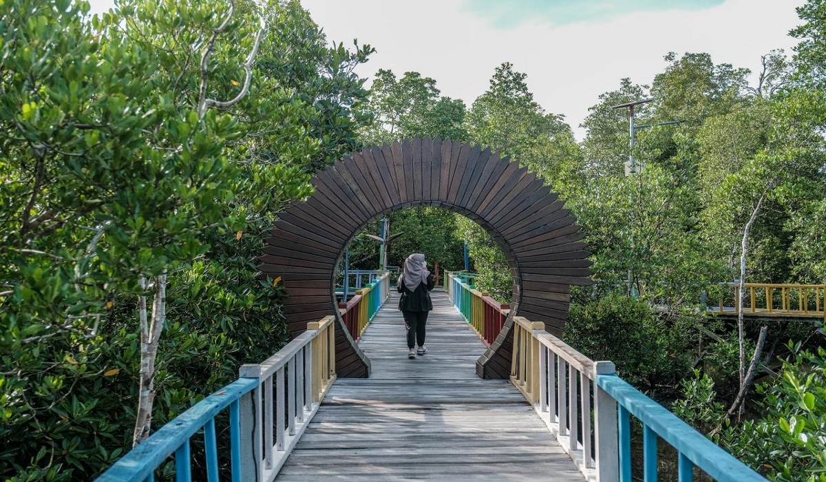 Panorama Alam Mempesona, Simak 6 Ragam Wisata Hutan Mangrove Terbaik di Indonesia