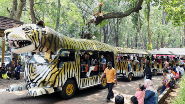 Ragunan Zoo Jadi Primadona Liburan Keluarga dengan Tiket Masuk Paling Terjangkau, Berikut Ulasan Lengkapnya
