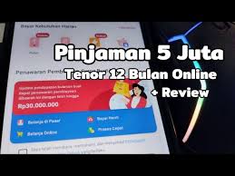 Limit 5 Juta Tenor 12 Bulan? Inilah 8 Pilihan Pinjol Legal OJK Pasti Cair, Dengan Limit Tinggi Bunga Rendah