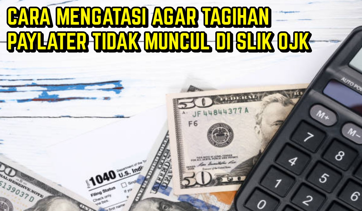 Cara Mengatasi Agar Tagihan Paylater Tidak Muncul di SLIK OJK, Simak Sampai Paham