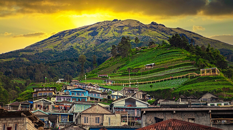 Menaklukkan Puncak Gunung Sumbing via Butuh Kaliangkrik, Menikmati Pesona Eksotis Nepal van Java 