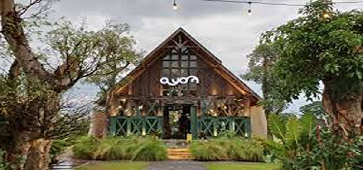 Cantik dan Syahdu! Ragam Cafe Estetik Sleman 2025, Vibesnya Menyatu Dengan Alam Bikin Betah