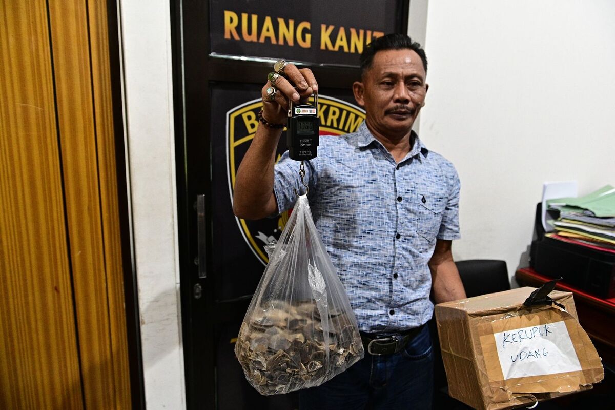 Vonis Jambi Menggetarkan, Trenggiling dan Badak Akhirnya Dibelai oleh Hukum