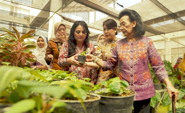GKR Hemas Dorong Jogja Agro Park Kulon Progo Jadi Taman Edukasi dan Wisata Agro