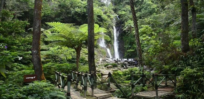 Ini dia 5 Tempat Wisata Terbaru di Puncak Bogor, Masih Sejuk dan Dingin Cocok Buat Liburan Akhir Pekan