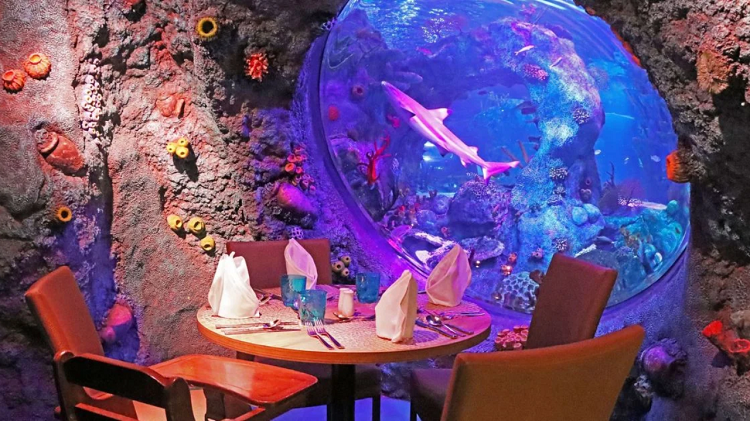 Makan Mewah Dikelilingi Ribuan Ikan, Sensasi Underwater Dining di LEGOLAND Malaysia